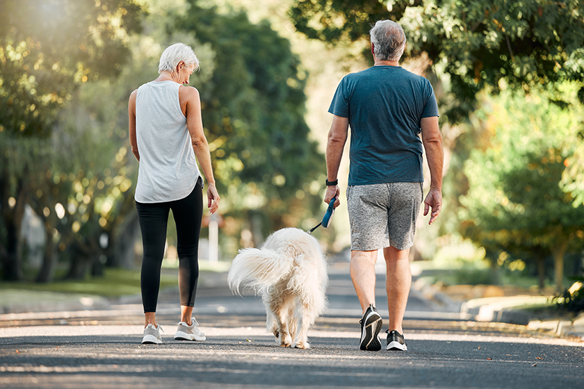 Senior couple, dog walk and nature park road during exercise, walking and leisure during a stroll through the woods. Old man and woman being active for energy and living healthy with a pet outside.